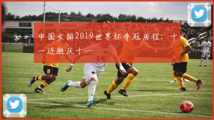 中国女排2019世界杯夺冠历程:十一连胜庆十一